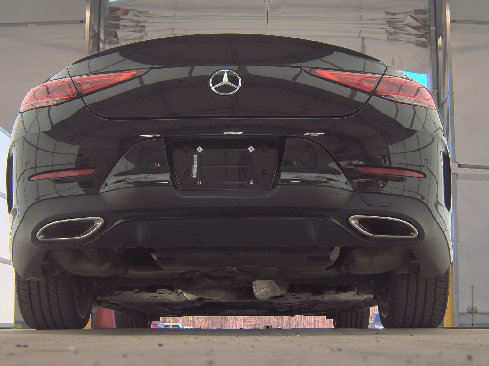 2019 Mercedes-Benz CLS-Class CLS 450 RWD