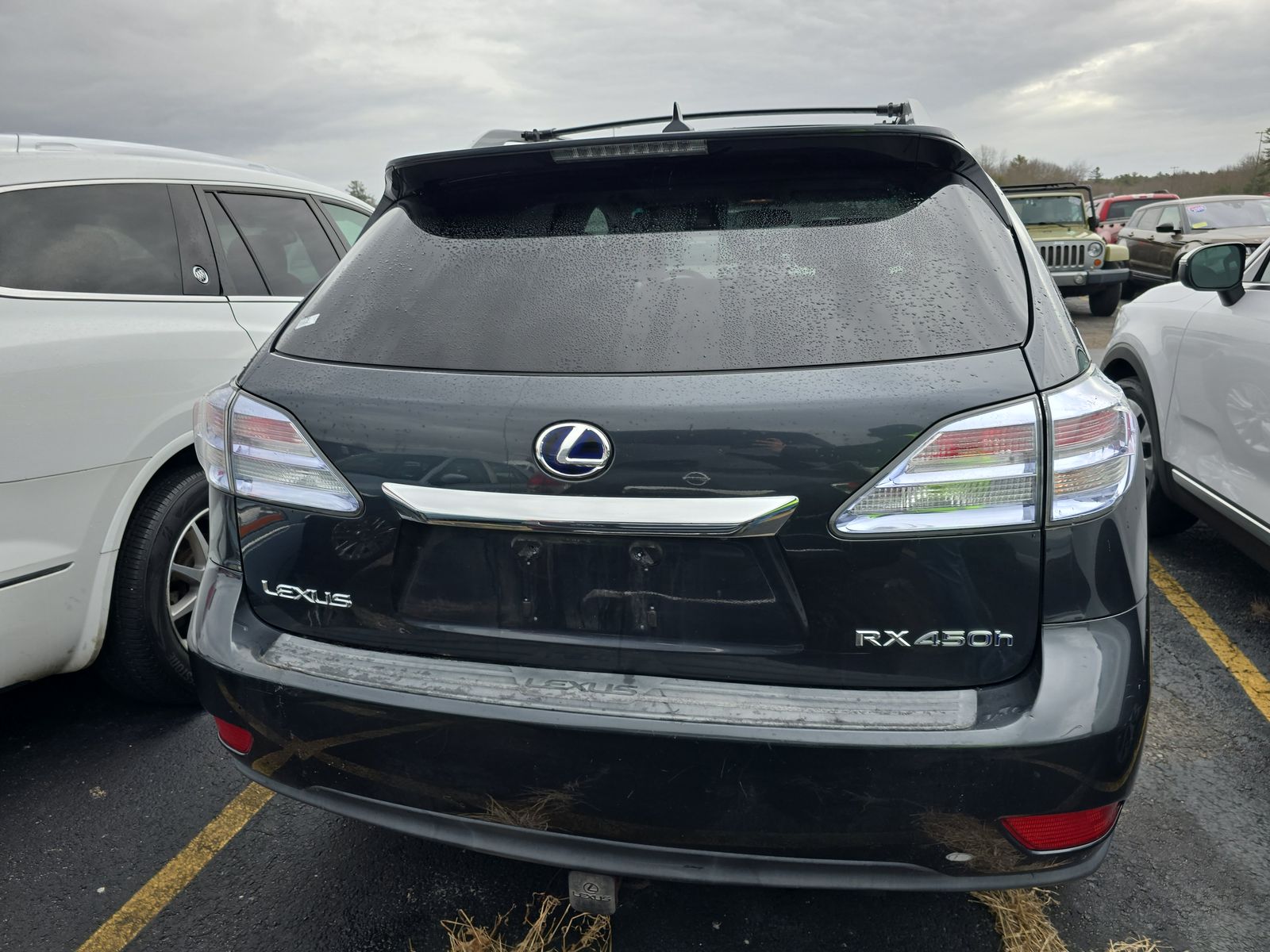 2010 Lexus RX RX 450h AWD