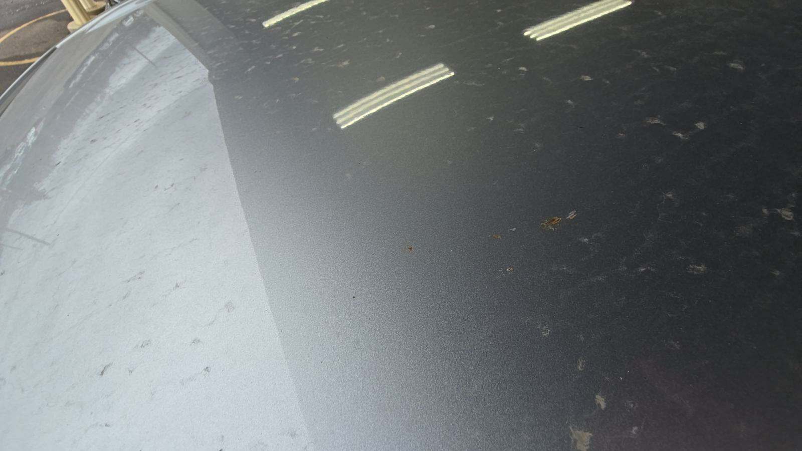 2019 Toyota Sienna LE FWD