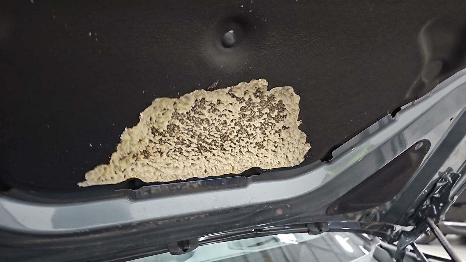 2022 BMW 5 Series 540i RWD