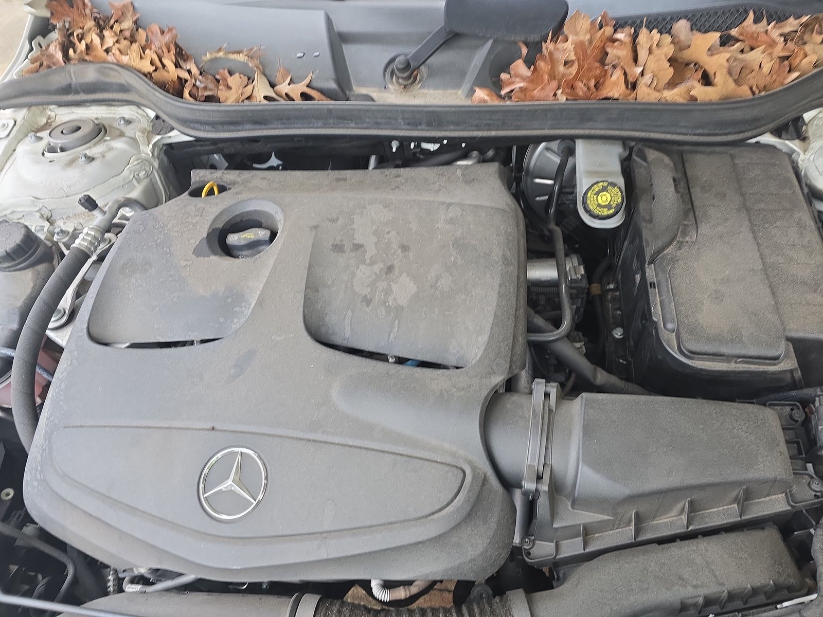 2019 Mercedes-Benz GLA GLA 250 FWD