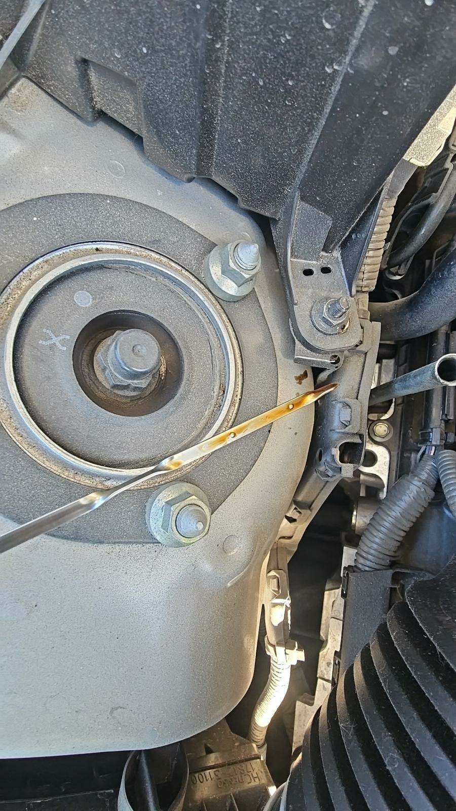 2021 Lexus IS IS 350 F SPORT RWD