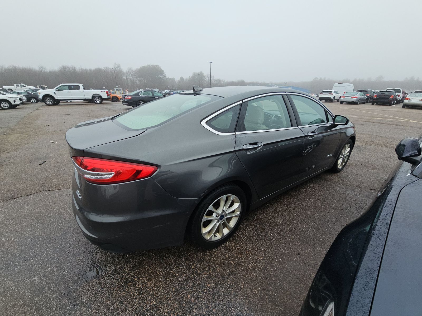 2019 Ford Fusion Hybrid SEL FWD