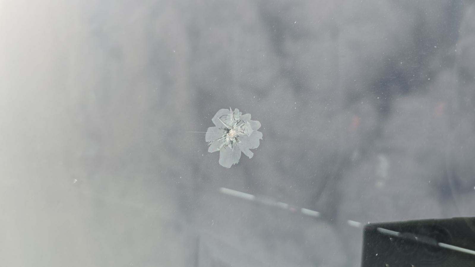 2022 Volkswagen Tiguan 2.0T SEL R-Line AWD