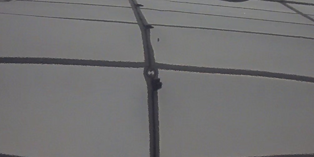 2016 Toyota Prius Three FWD