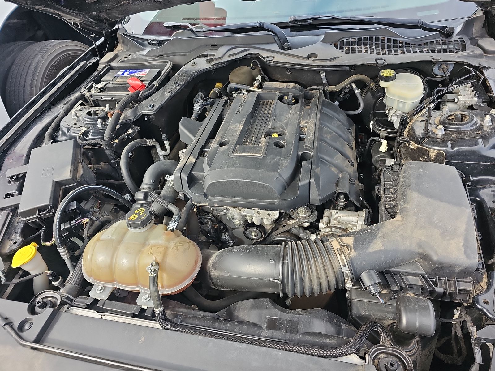 2017 Ford Mustang EcoBoost RWD