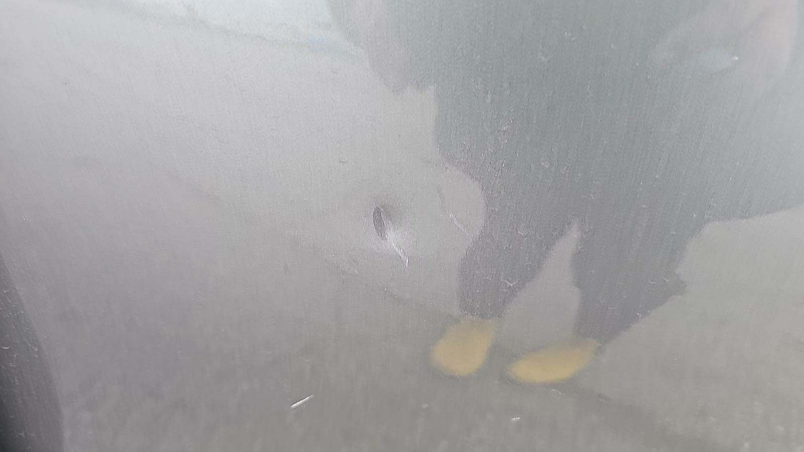 2018 Mercedes-Benz GLA GLA 250 FWD