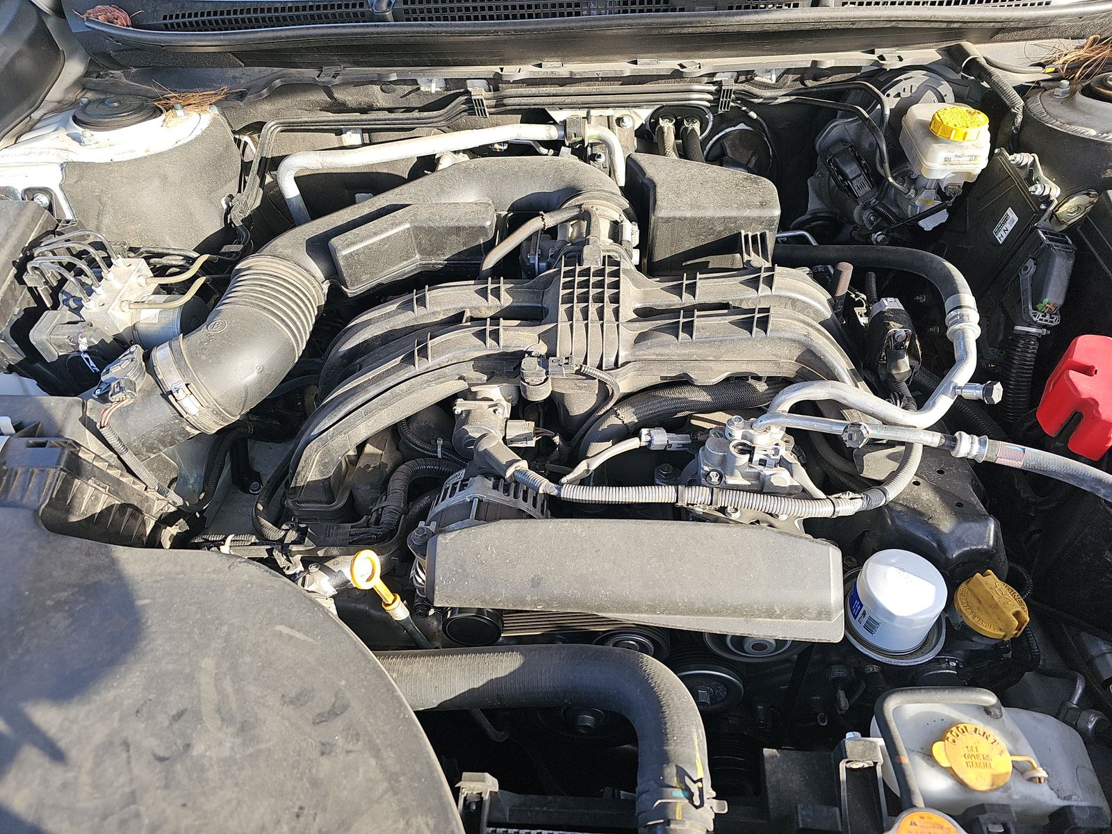 2024 Subaru Outback Premium AWD