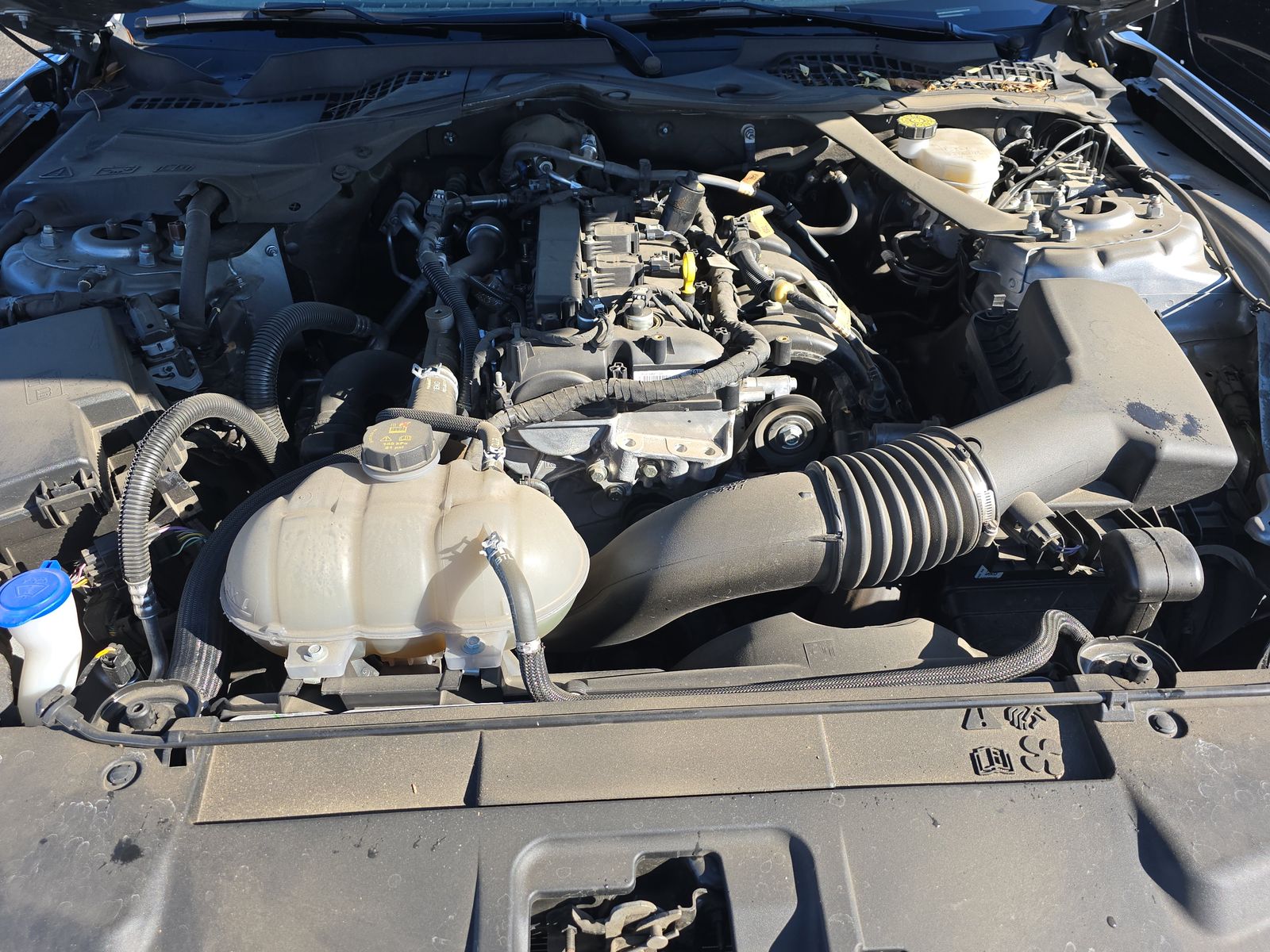 2023 Ford Mustang EcoBoost Premium RWD