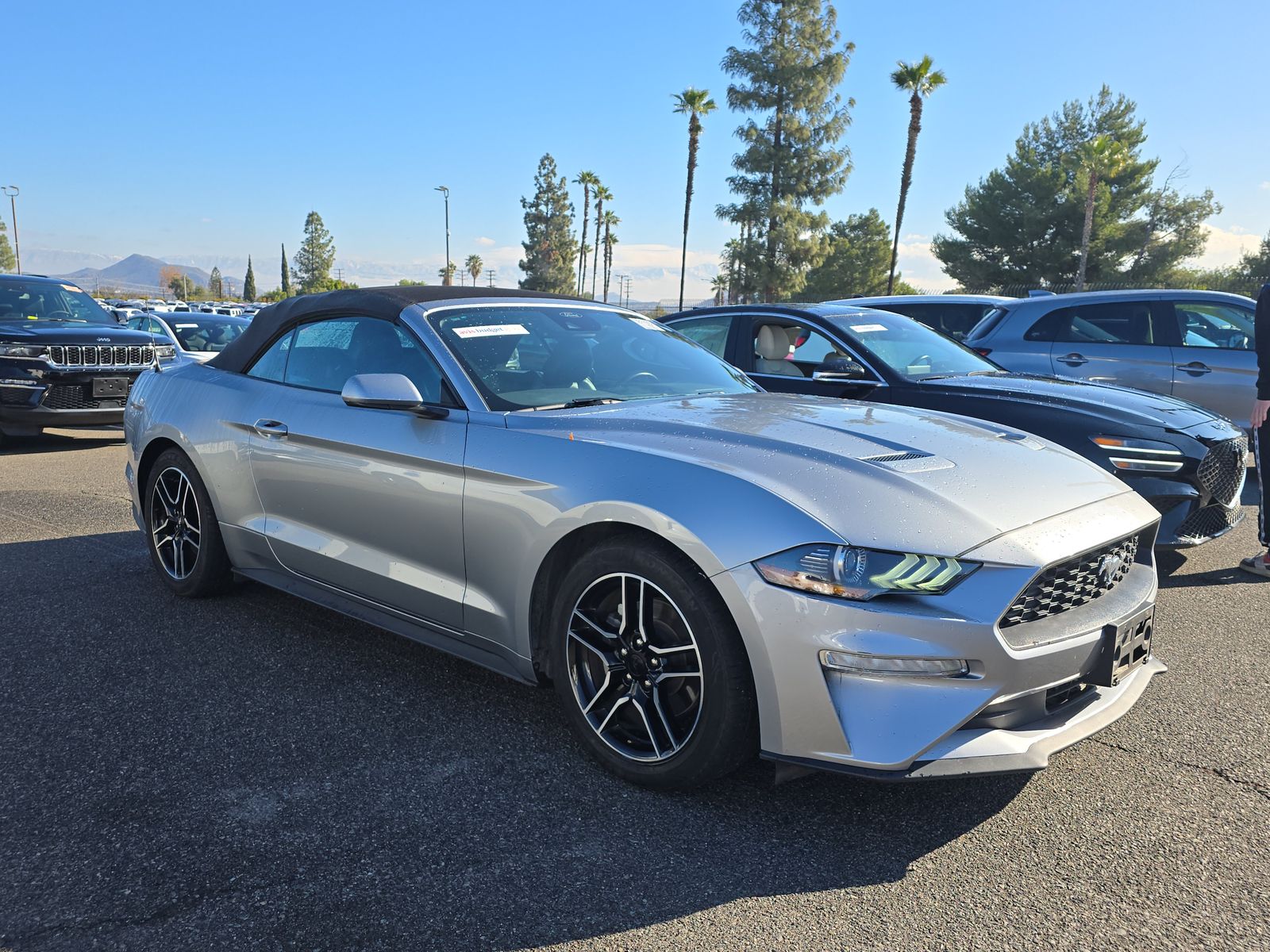 2023 Ford Mustang EcoBoost Premium RWD