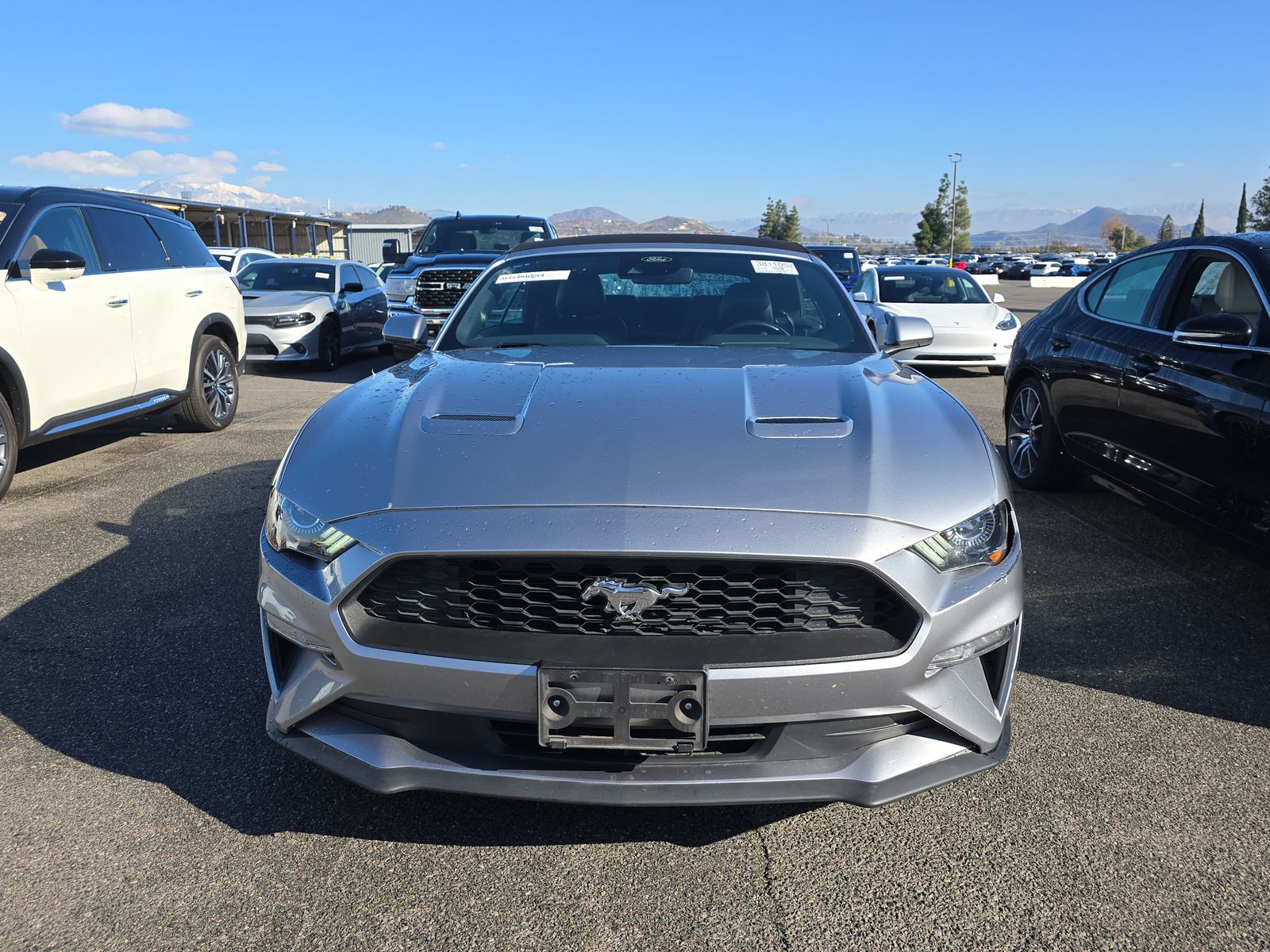 2023 Ford Mustang EcoBoost Premium RWD