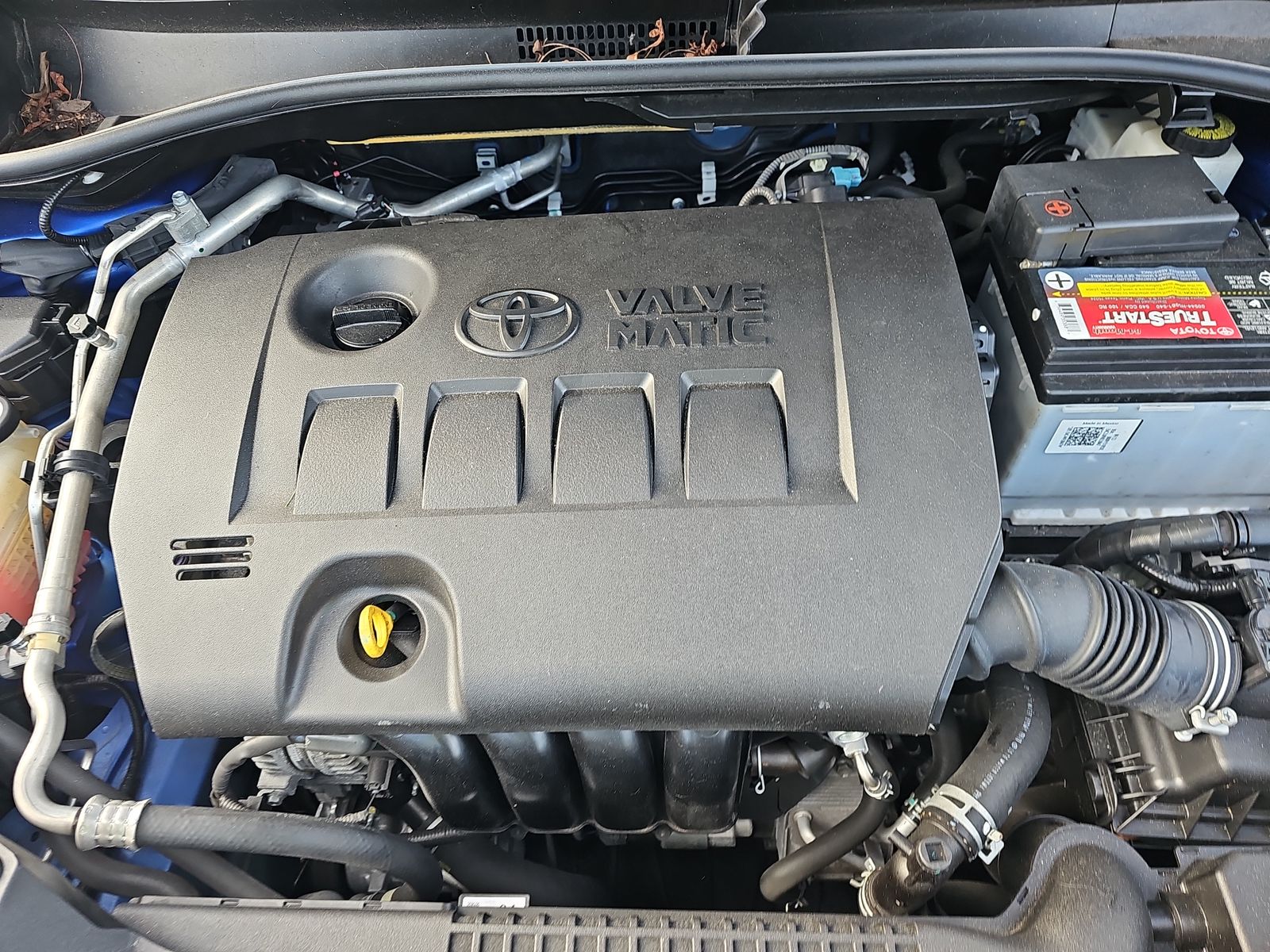 2019 Toyota C-HR XLE FWD