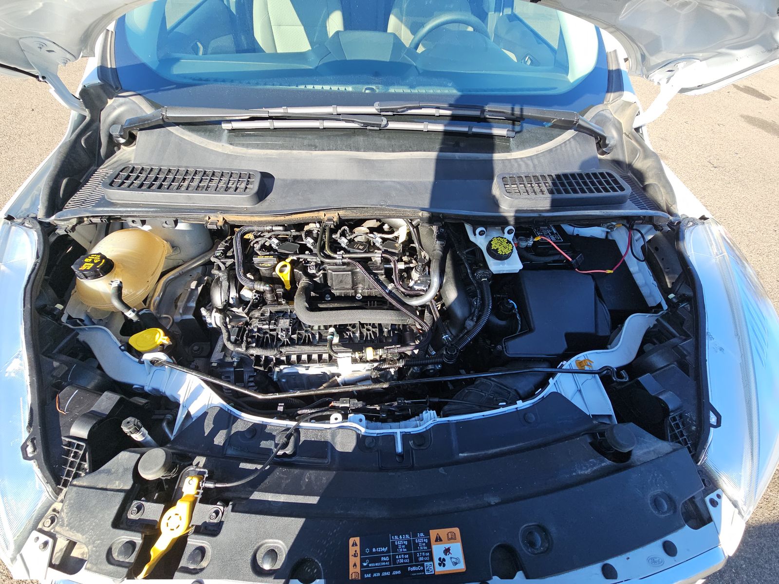 2019 Ford Escape SE FWD