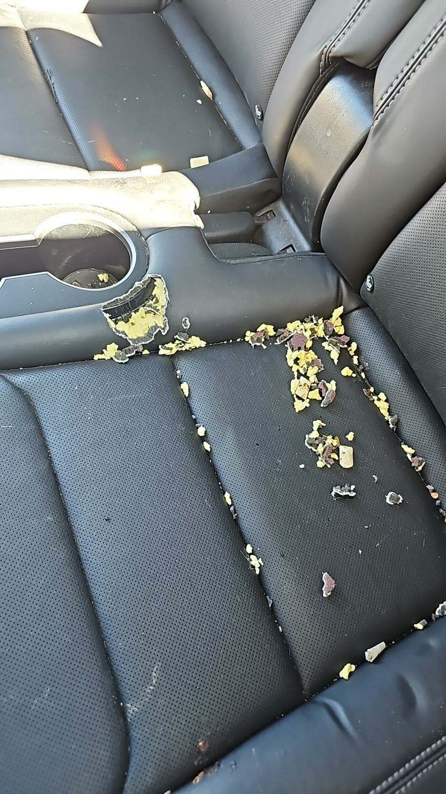 2018 Tesla Model X P100D AWD