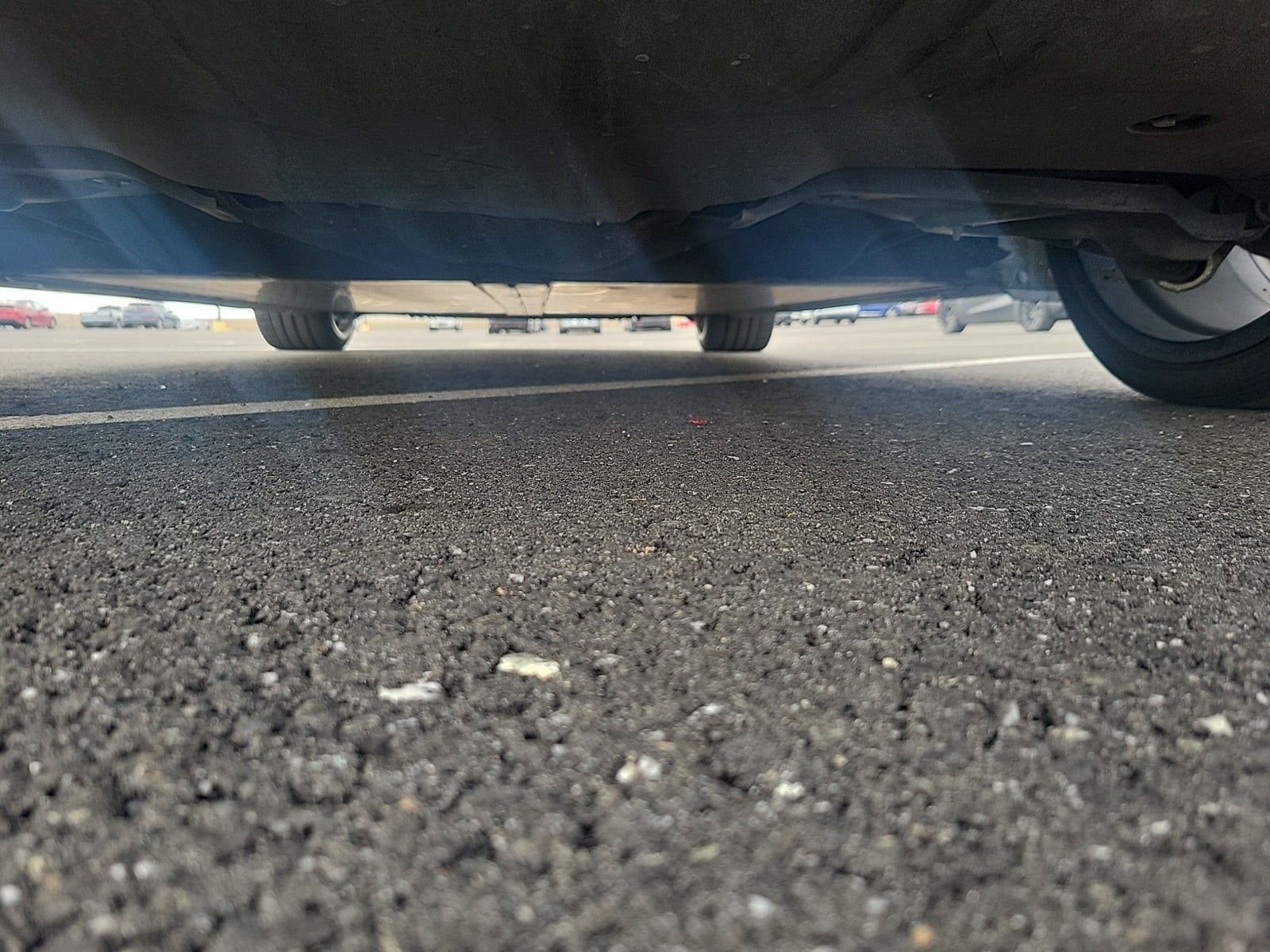 2021 Tesla Model 3 Performance AWD