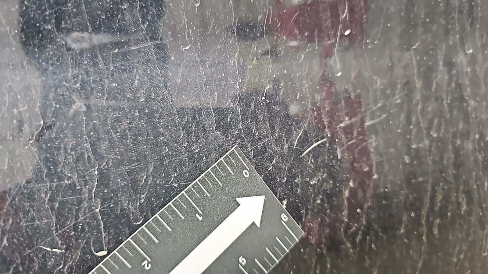 2021 Dodge Charger R/T RWD