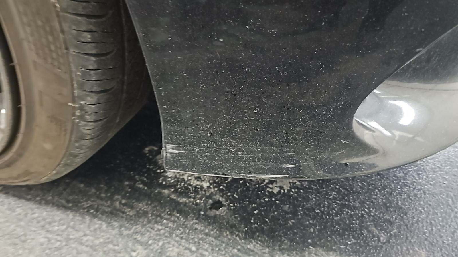 2019 Dodge Charger R/T RWD