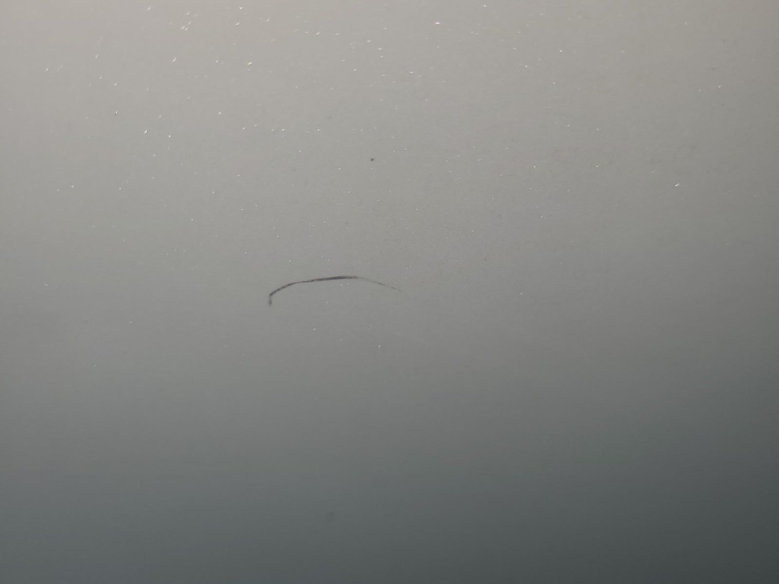 2020 Hyundai Sonata Limited FWD