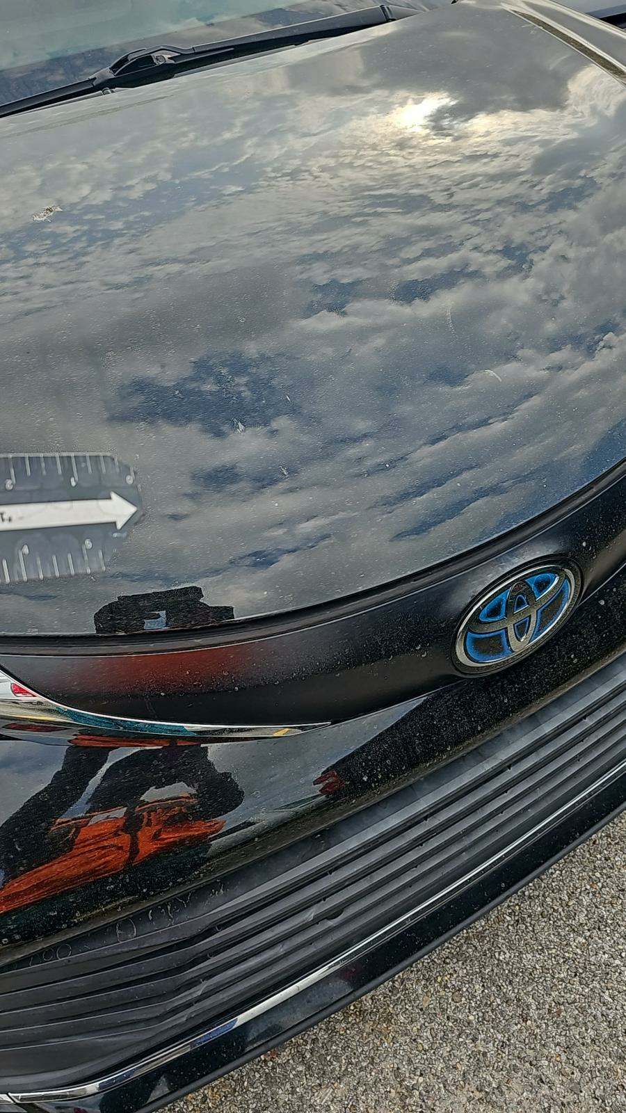 2021 Toyota Sienna XLE FWD