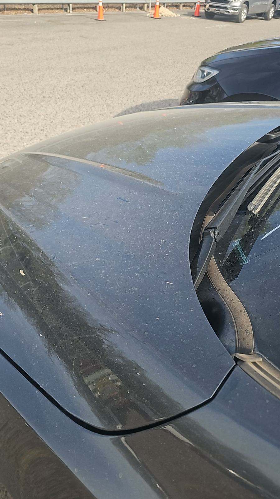 2019 Ford Escape SE FWD