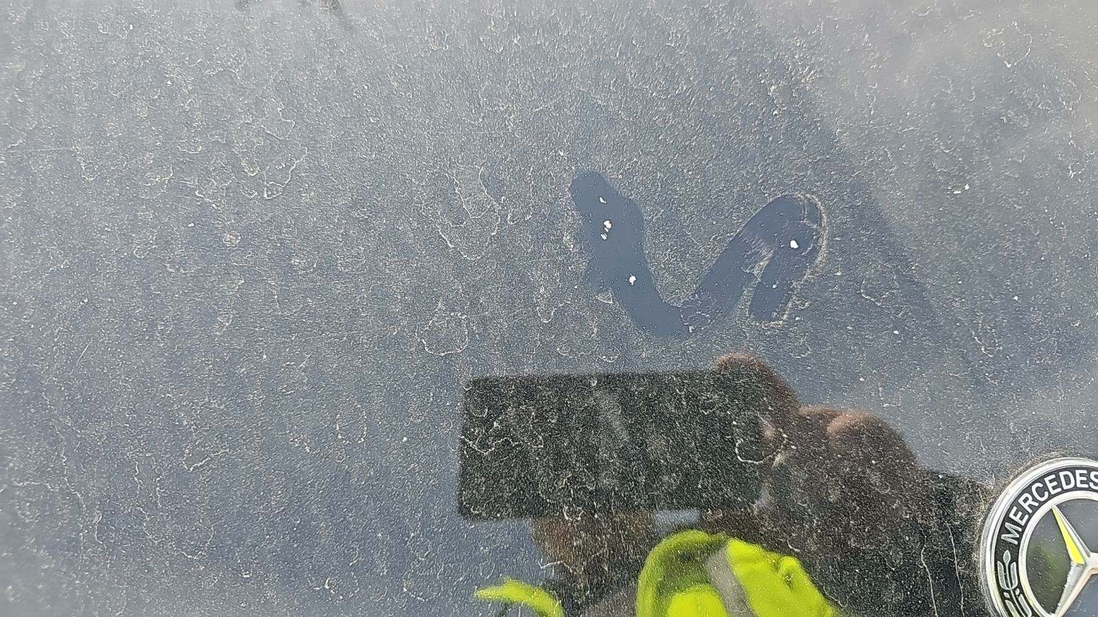 2019 Mercedes-Benz C-Class AMG C 43 AWD