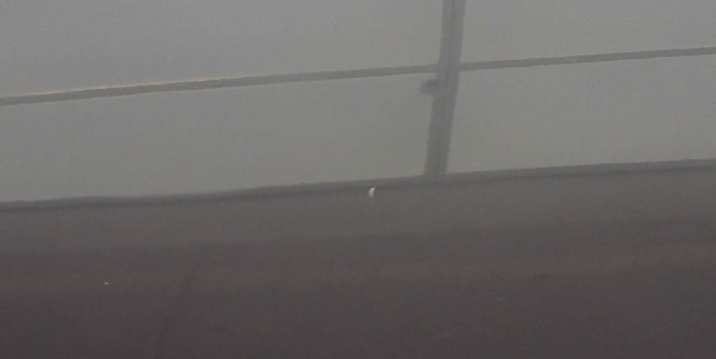 2010 Lexus IS IS 250C FWD