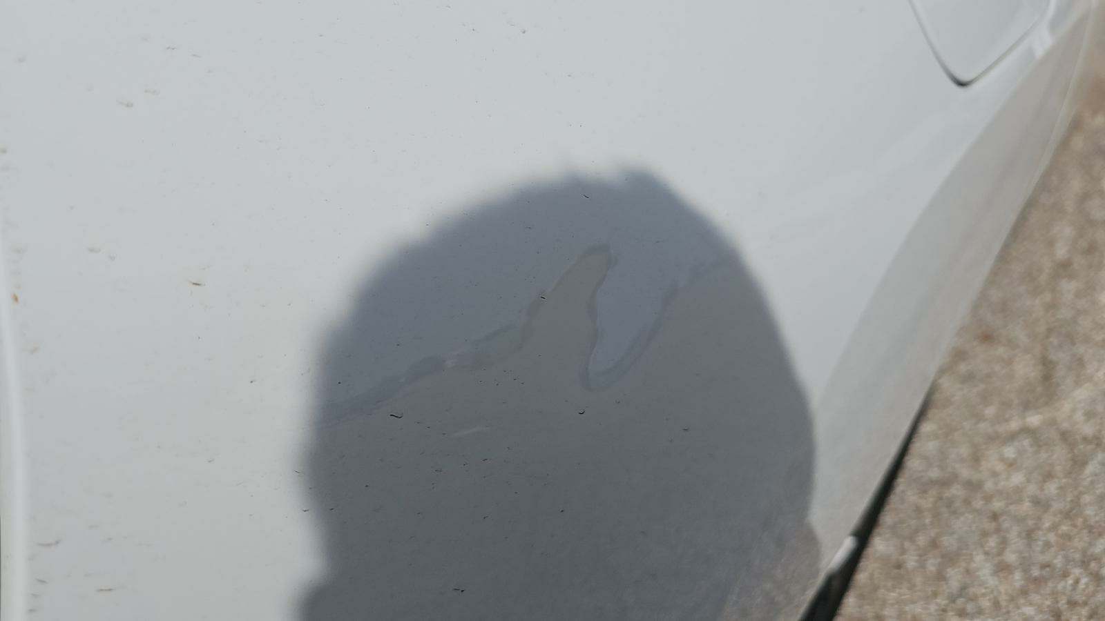 2025 BMW iX xDrive50 AWD