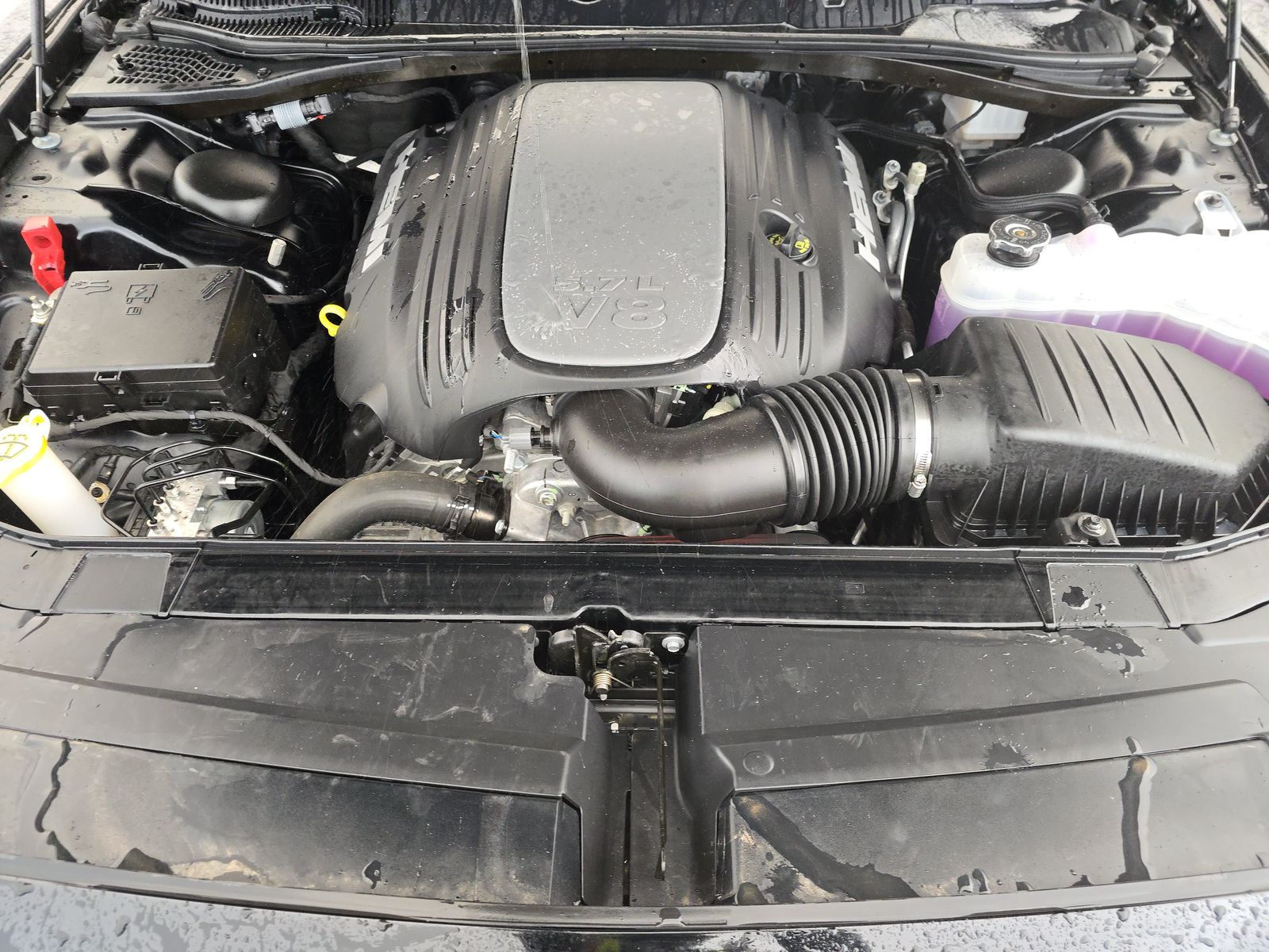 2023 Dodge Challenger R/T RWD