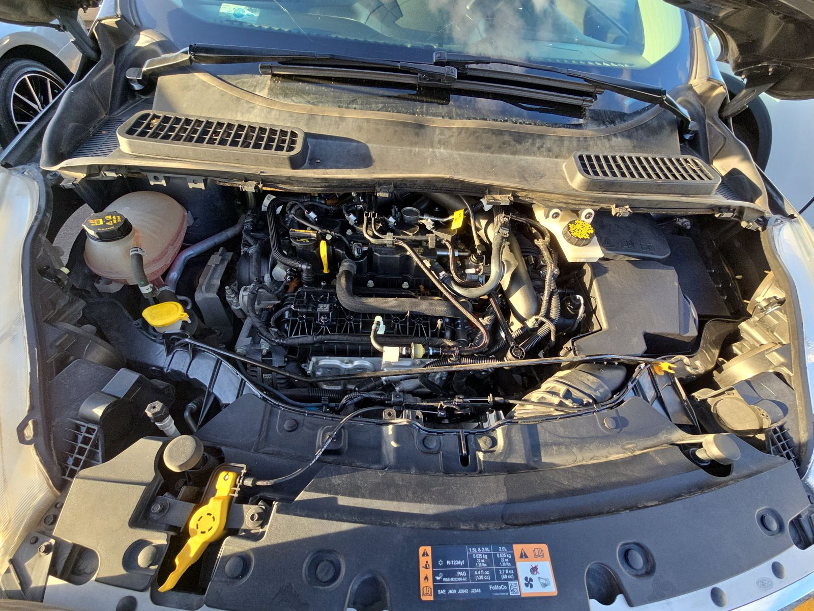 2019 Ford Escape SE FWD