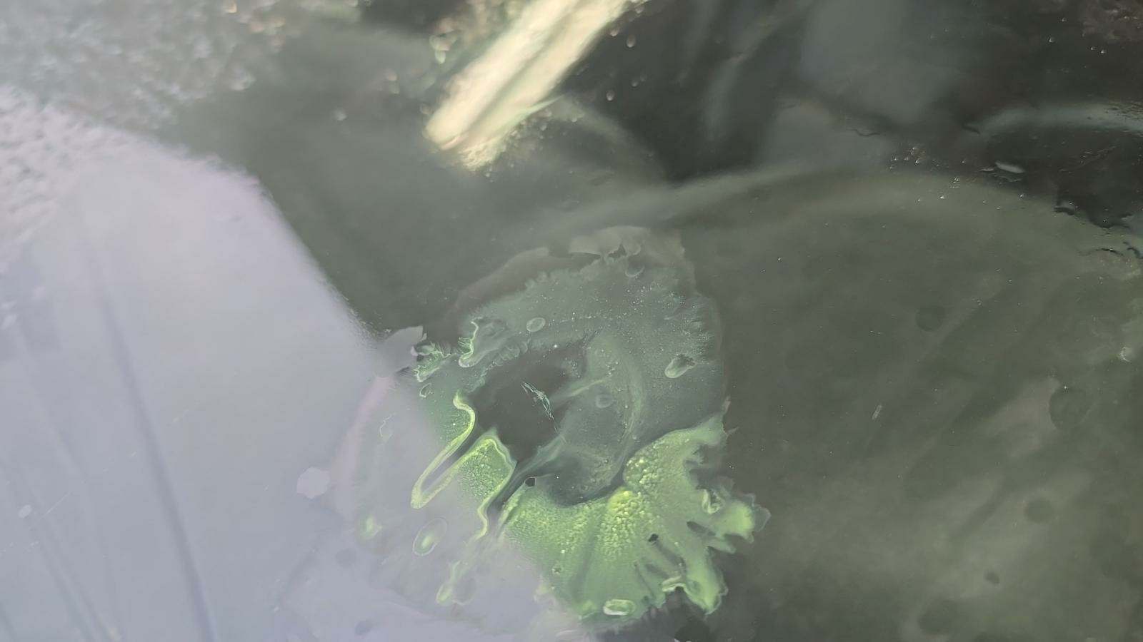 2014 Ford Edge SEL AWD