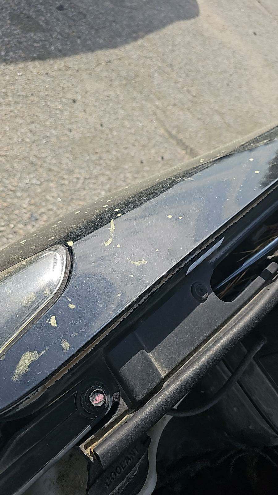 2014 Hyundai Santa Fe Sport Base FWD