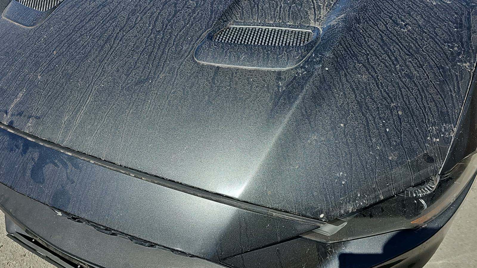 2018 Ford Mustang EcoBoost RWD