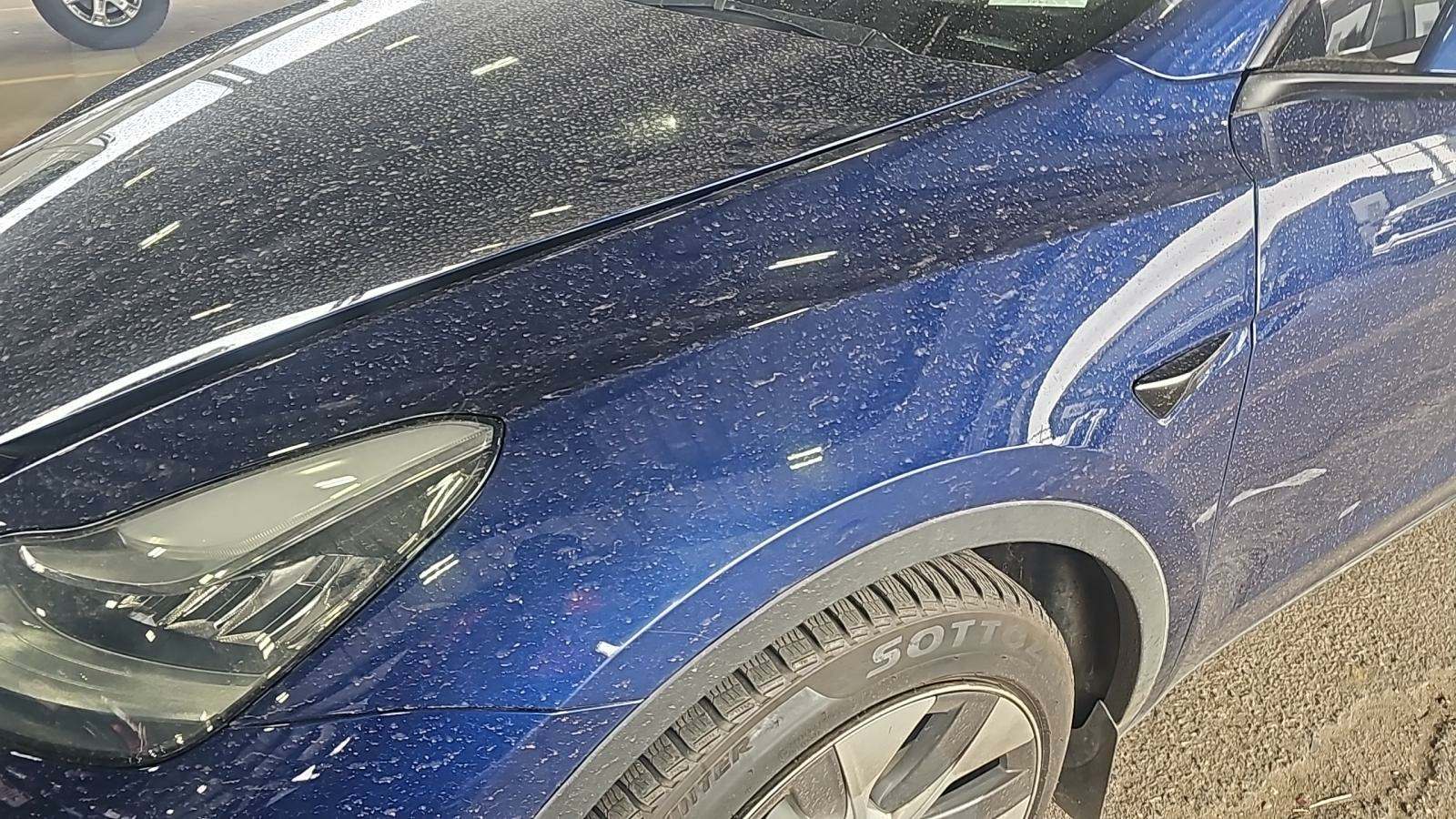 2021 Tesla Model Y Long Range AWD