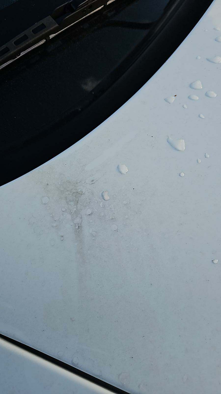 2015 Maserati GranTurismo Sport FWD