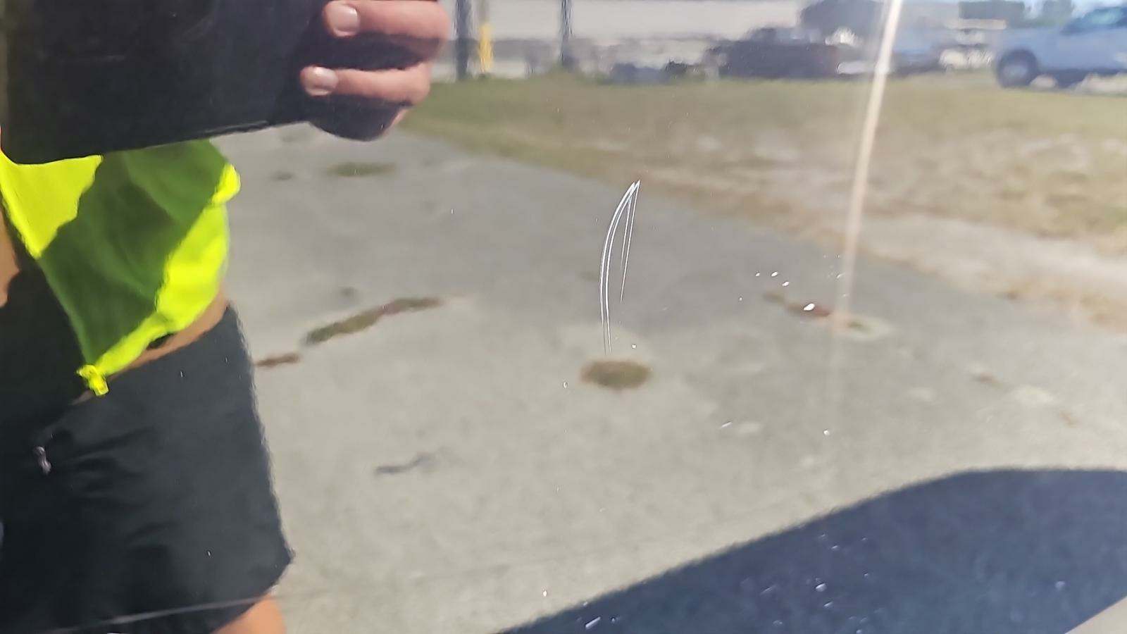 2019 Ford F-150 XLT AWD