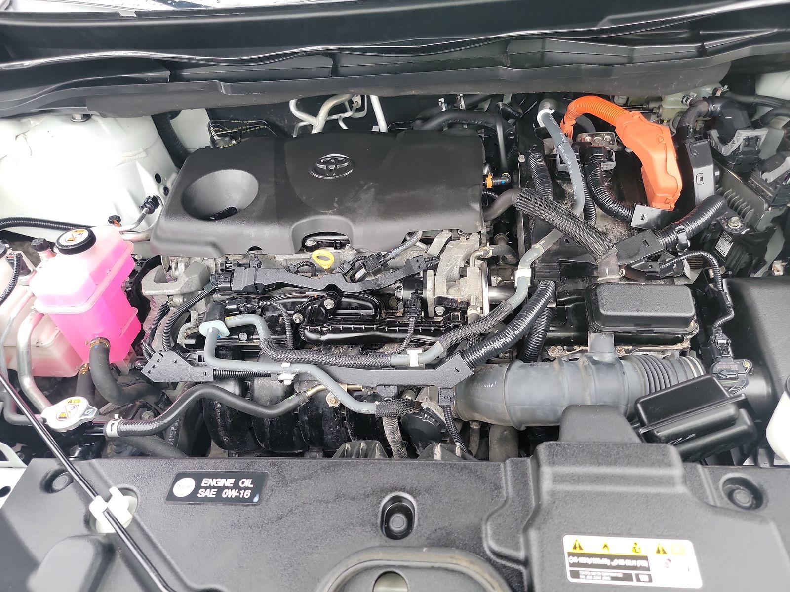 2021 Toyota Sienna XLE AWD