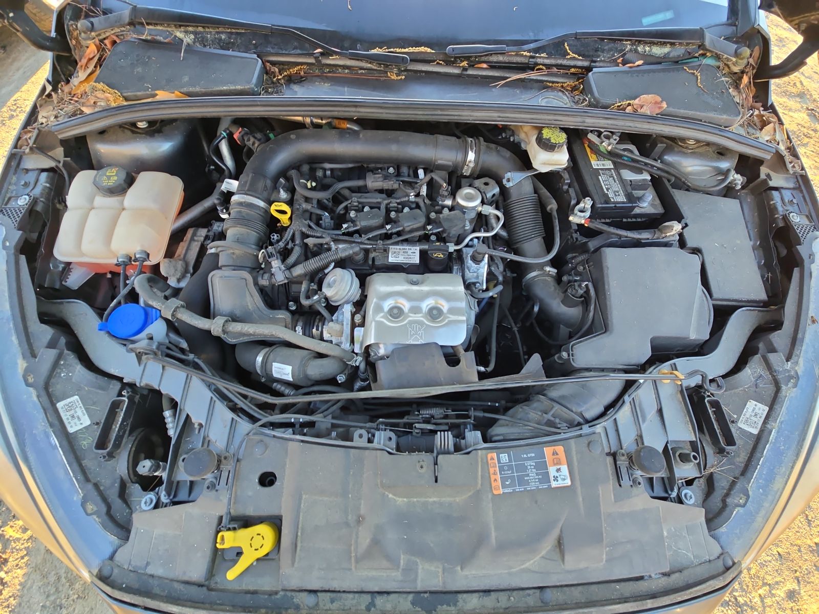 2018 Ford Focus SE FWD