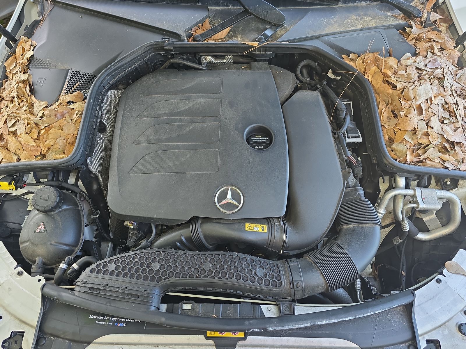 2019 Mercedes-Benz C-Class C 300 RWD