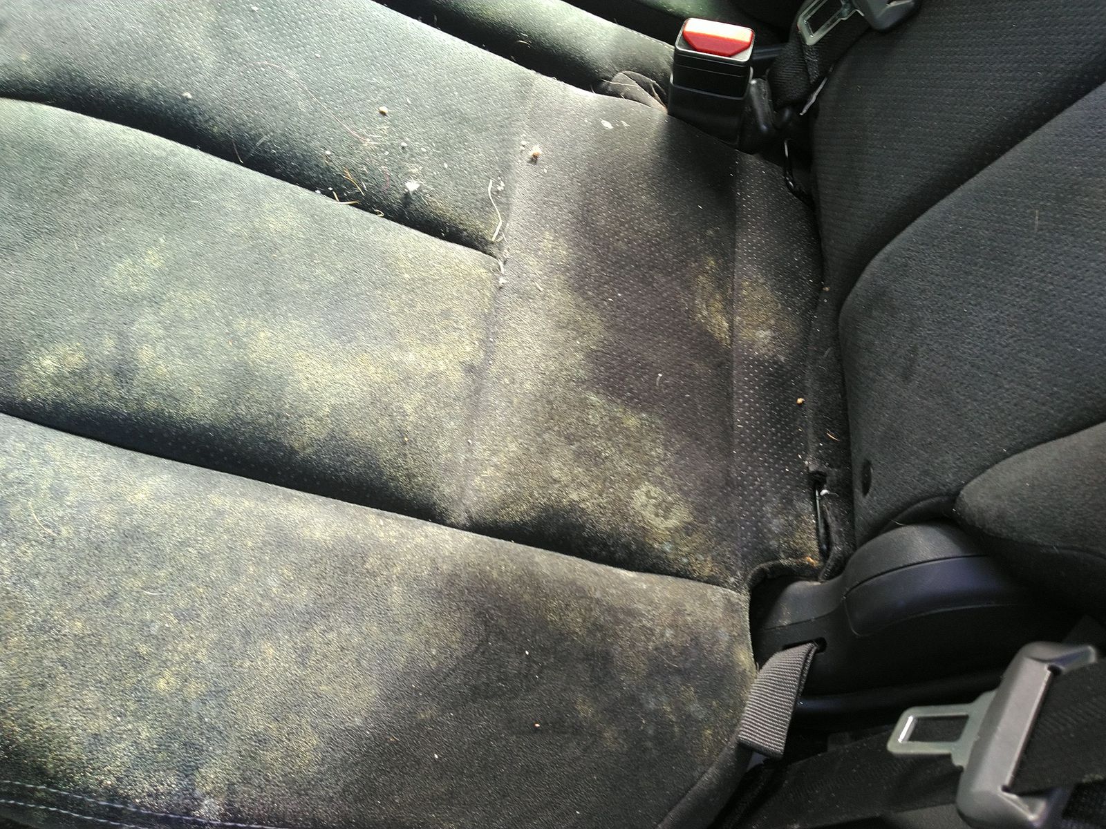 2019 Nissan Murano S FWD