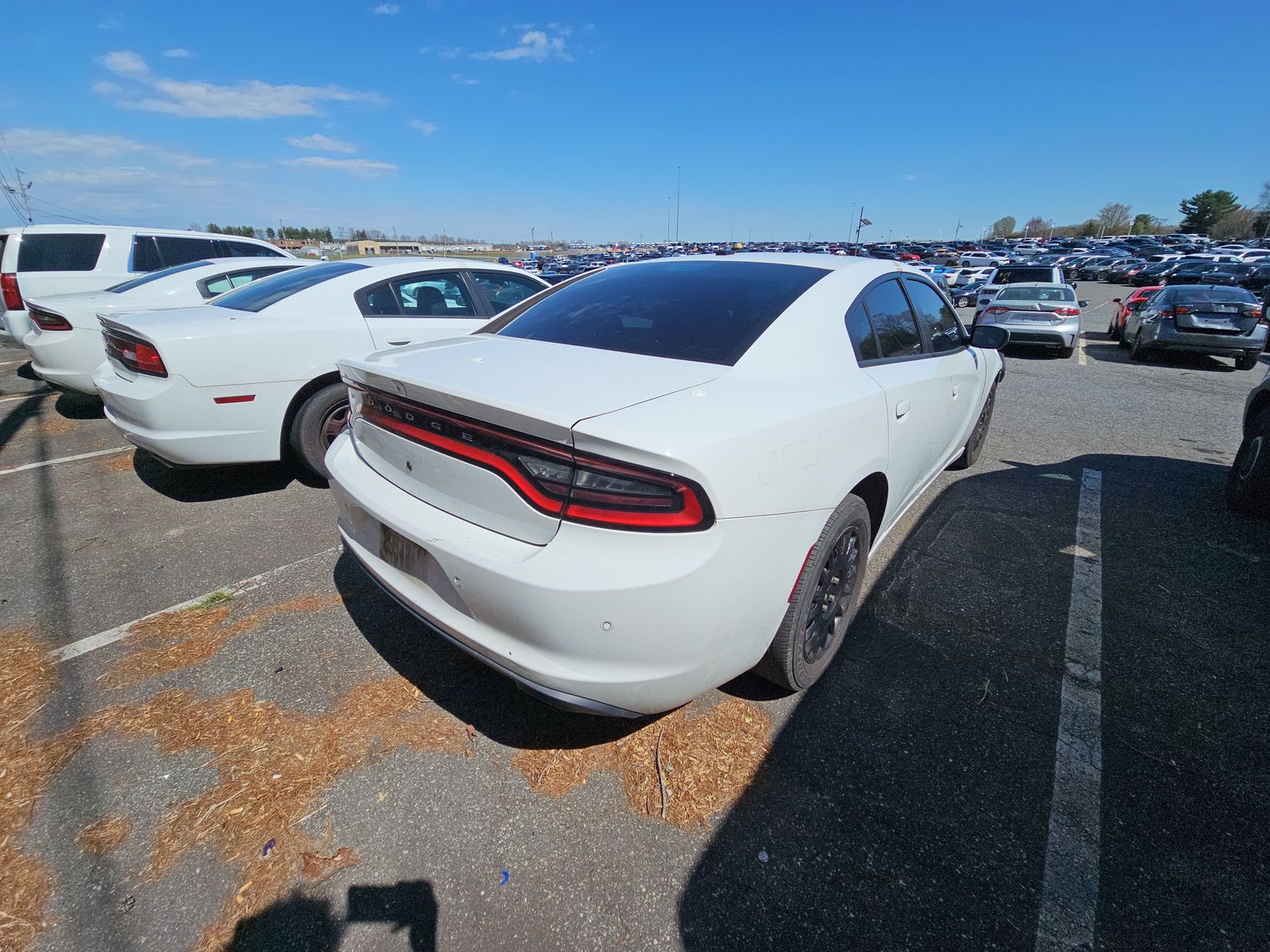 2019 Dodge Charger Police AWD