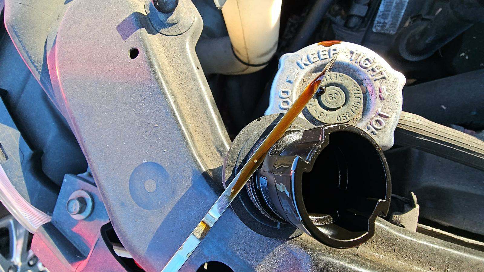 2019 Dodge Grand Caravan SXT FWD