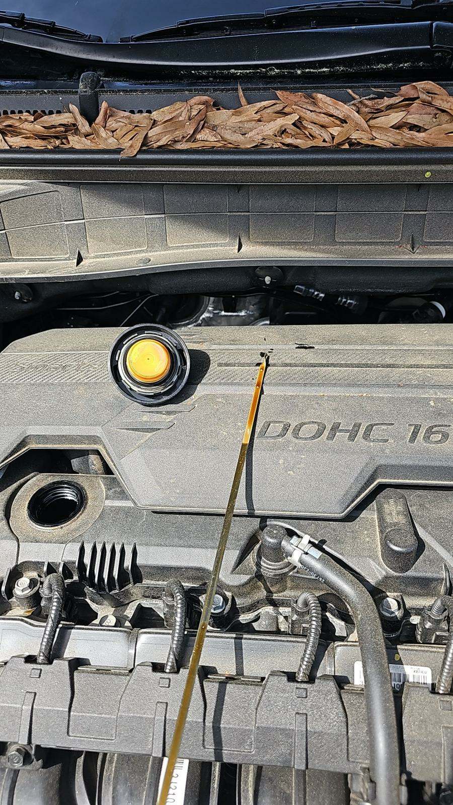 2023 Hyundai Kona SEL FWD
