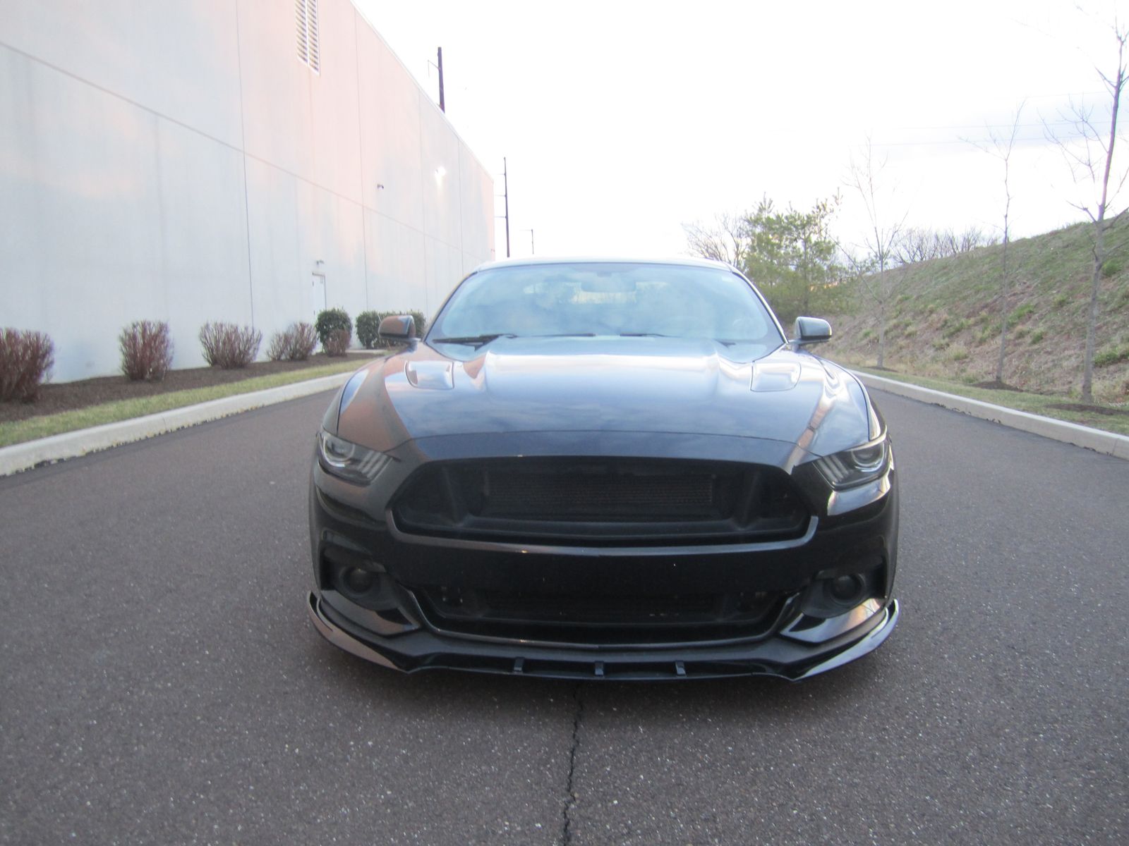 2016 Ford Mustang GT RWD