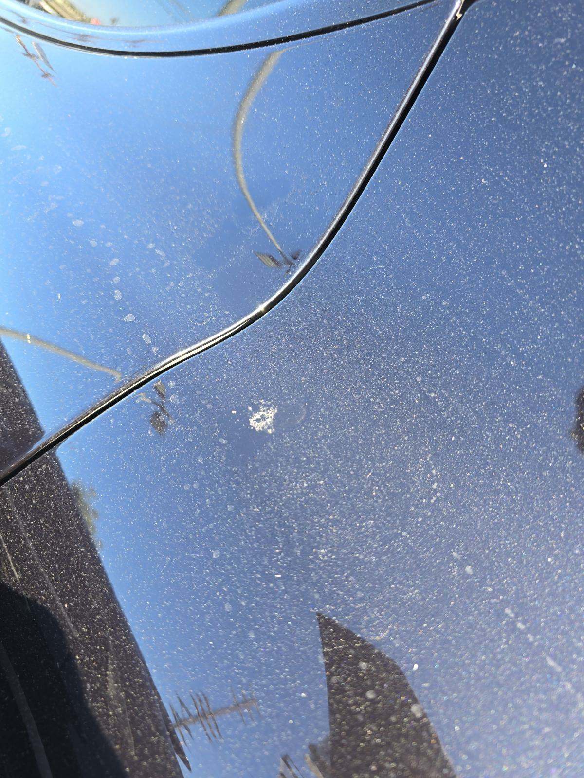 2016 Porsche Panamera Edition RWD