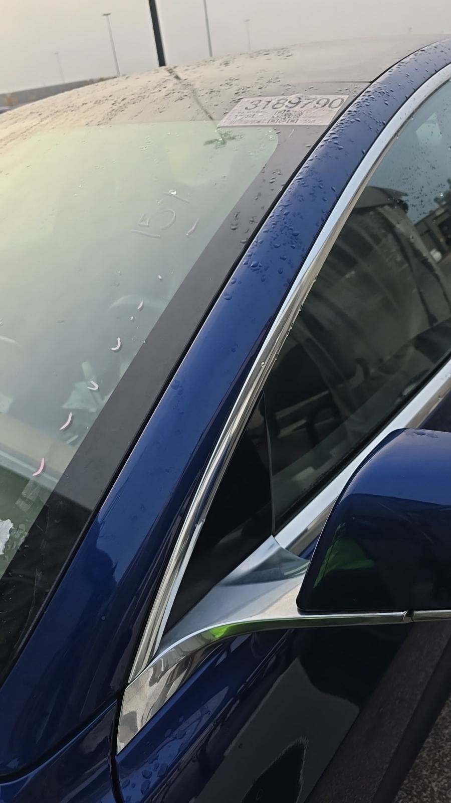 2019 Tesla Model 3 Long Range RWD
