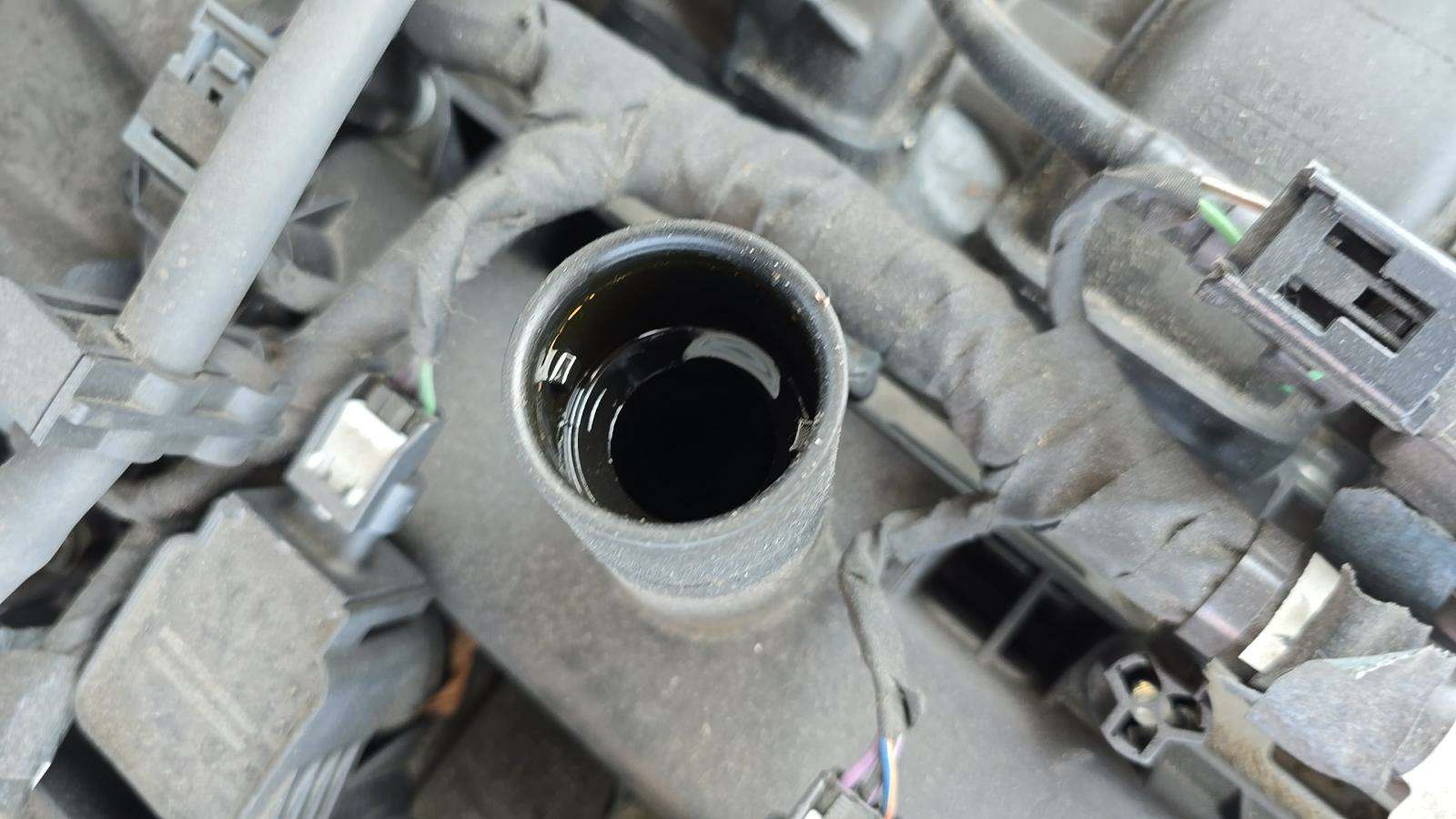 2023 Ford Mustang EcoBoost Premium RWD