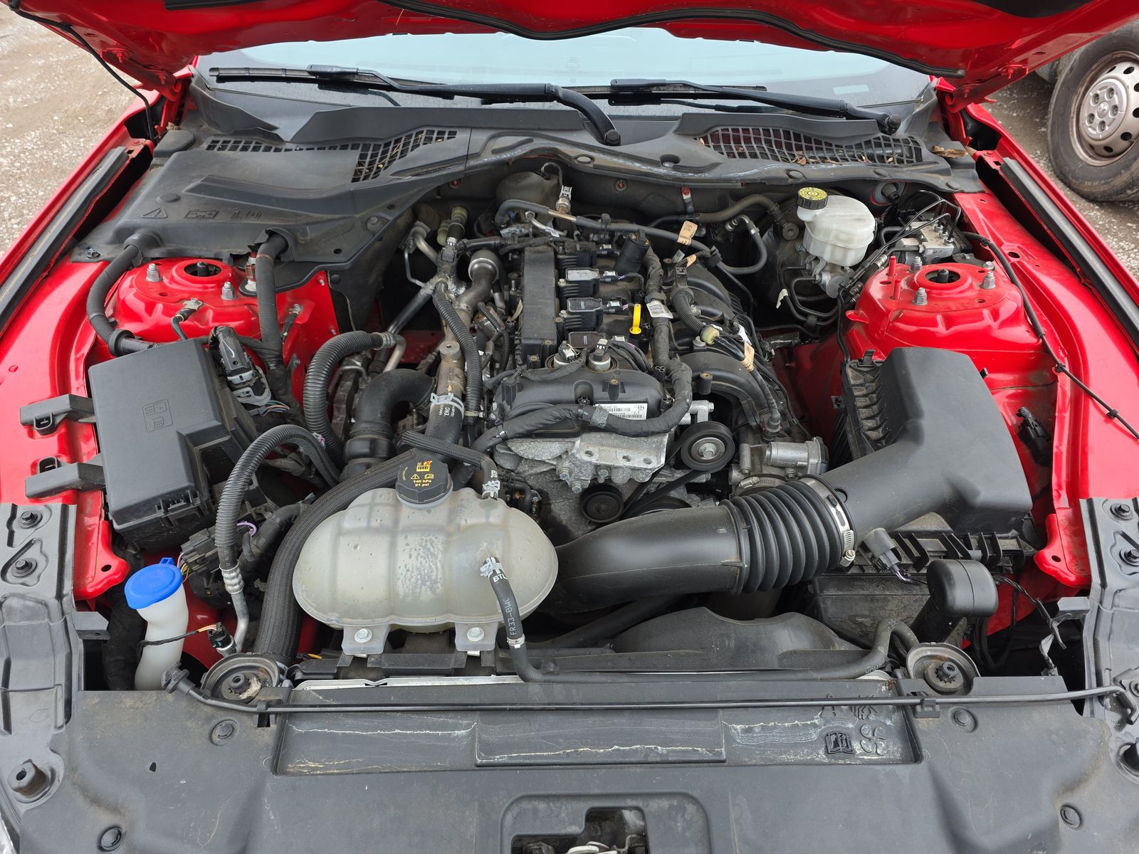 2021 Ford Mustang EcoBoost Premium RWD