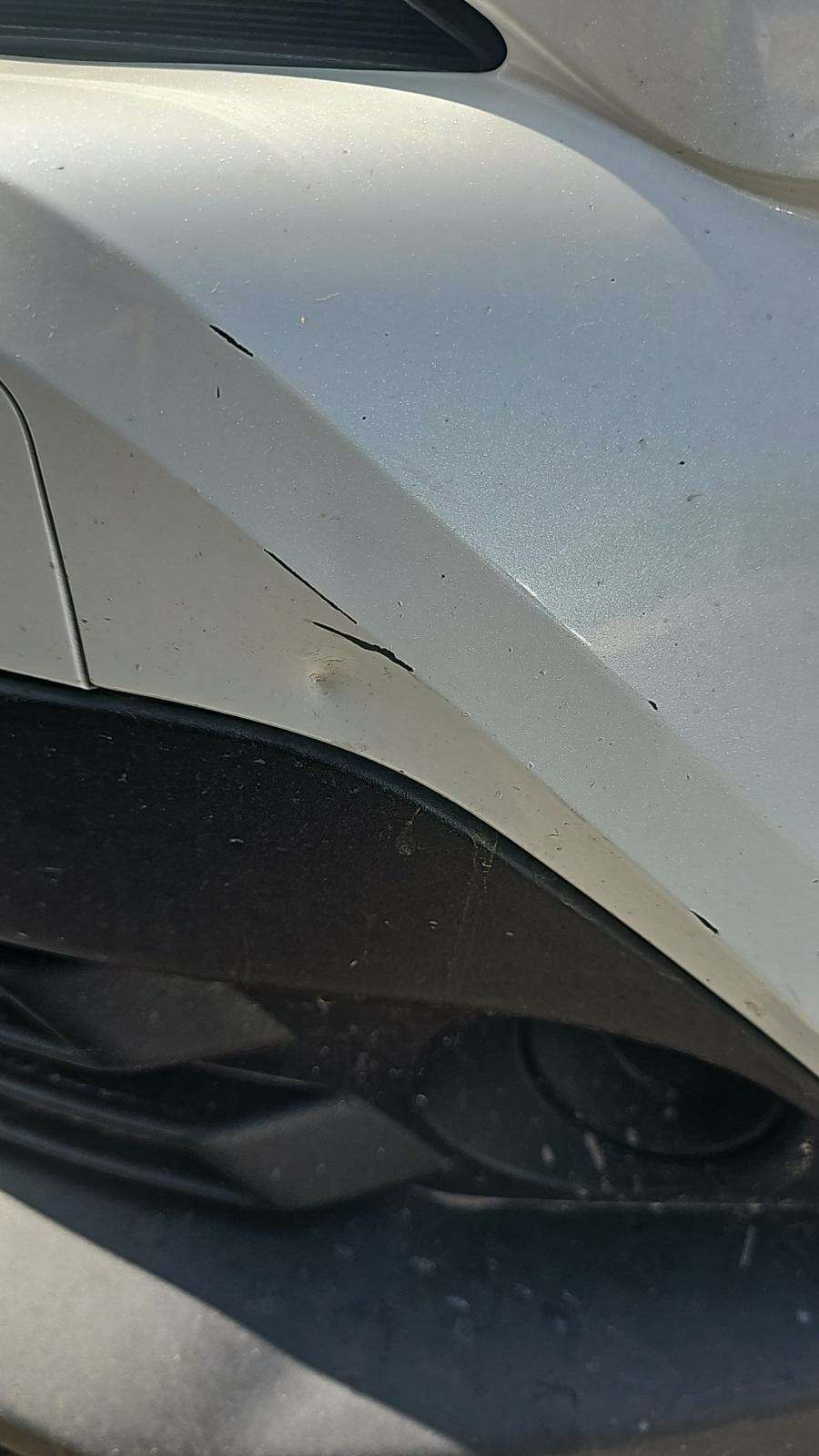 2019 Toyota C-HR XLE FWD