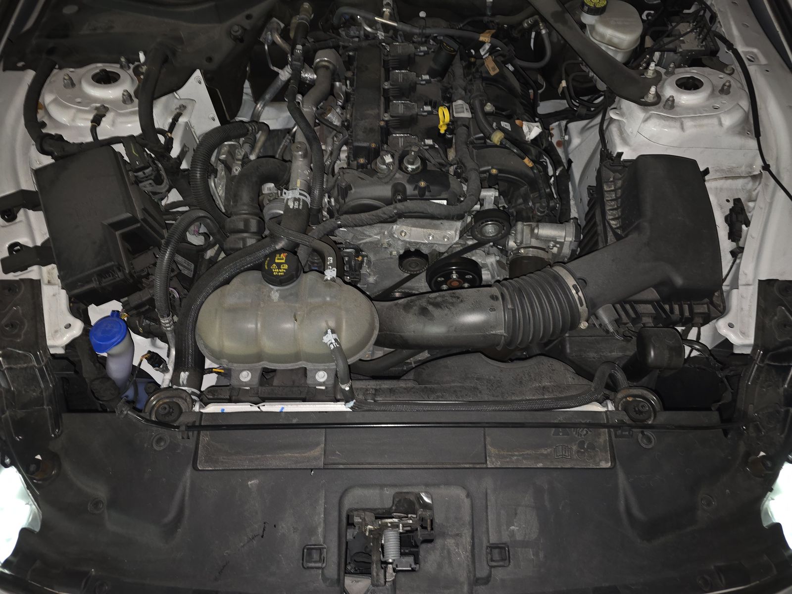 2023 Ford Mustang EcoBoost Premium RWD