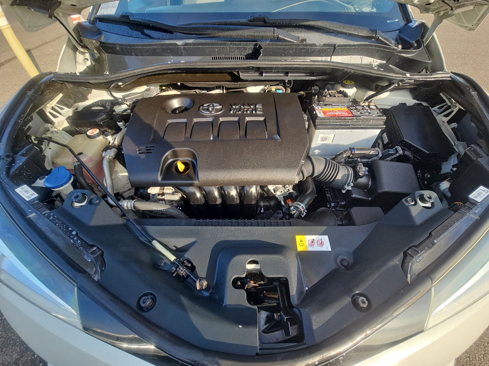 2019 Toyota C-HR XLE FWD